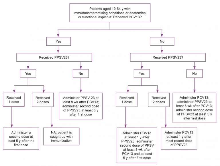 Pneumococcal – Immunization Coalition of Delaware